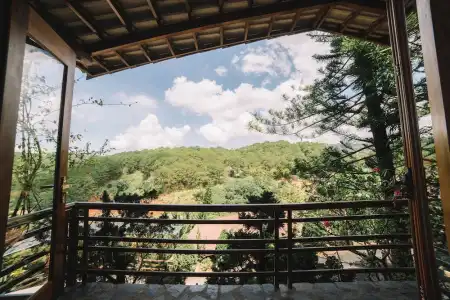 Zen Valley Dalat - 228