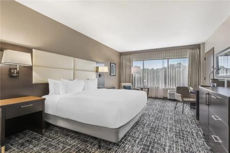 DoubleTree by Hilton Williamsburg - 58