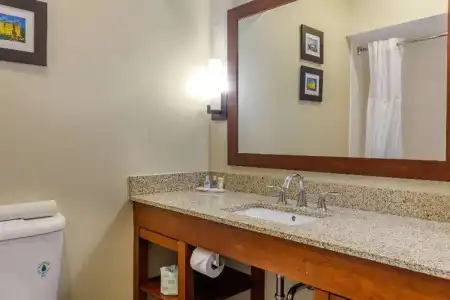 Comfort Suites Raleigh Walnut Creek - 50