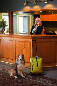South Thompson Inn & Conference Centre - 21