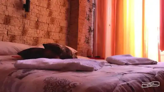 Camelot B&B Palermo - 56