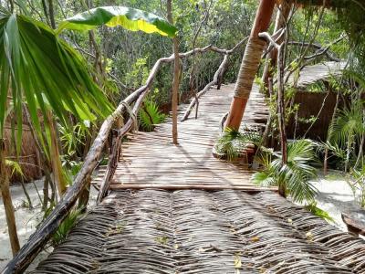 Glamp Ikal Tulum - 33