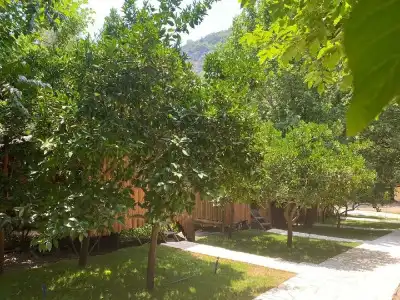 Camlik Pansiyon - Adults Only (16+) - 11