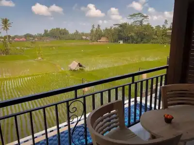 The Sawah Resort & Villa - 20