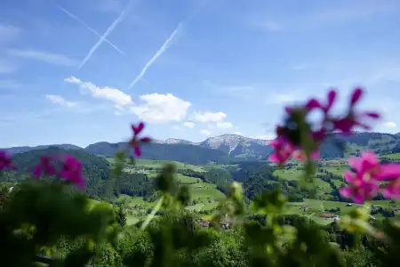 Allgäu Sonne - 17