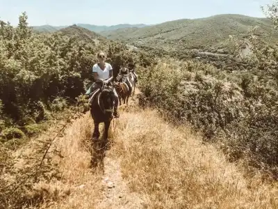 Lost Ridge Inn, Brewery & Ranch - 9