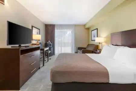 Quality Inn Peterborough - 6