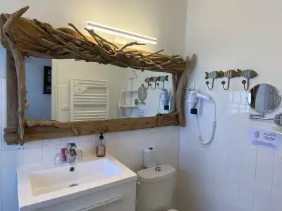 Hôtel Le Neptune en Camargue - 7