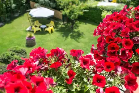 B&B Il Girasole - 36
