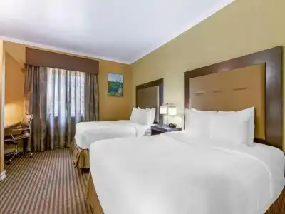 Royal Sun & Suites - 79