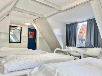 The White Tulip Hostel - 5