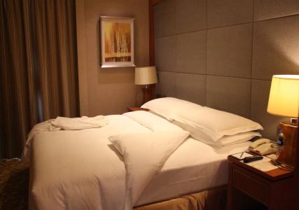 New Century Pudong Shanghai - 1