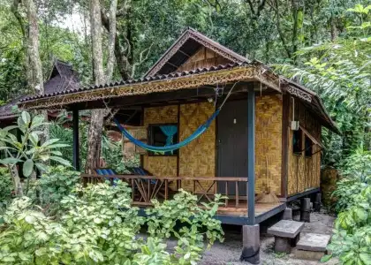 Bamboo Bungalows - 30