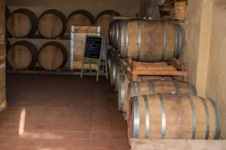 Fattoria di Corsignano - 22