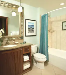 Marriott's Maui Ocean Club - Lahaina & Napili Towers - 9