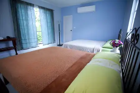 Ville De La Vie - 5