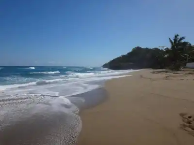 Garden by the Sea - 14