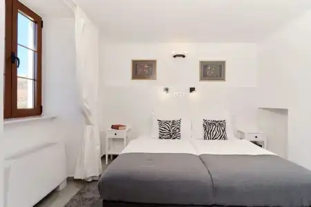 Zebra - 1