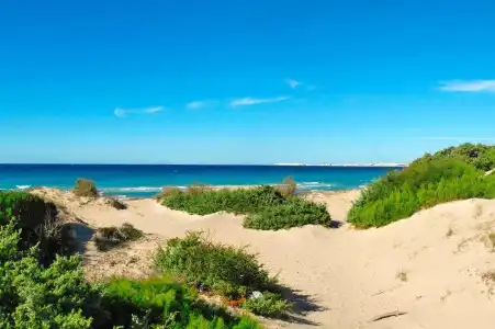 Vivosa Apulia Resort - All Inclusive - 4