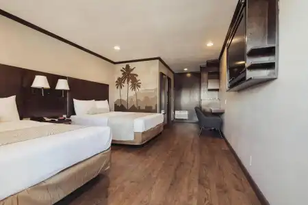 The Dixie Hollywood - 1