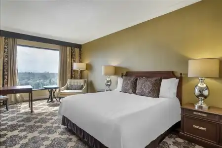 Omni Houston - 49