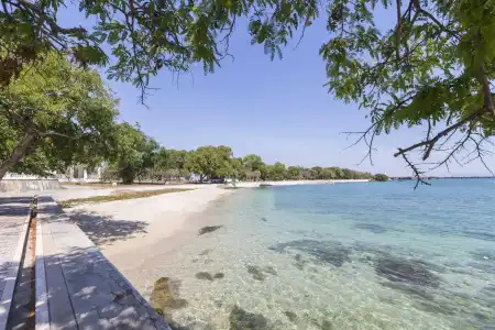 Beluga Koh Sichang - 12