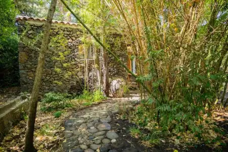 Etna Botanic Garden - 92