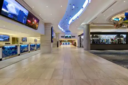 Hyatt Regency Niagara Falls Fallsview - 18
