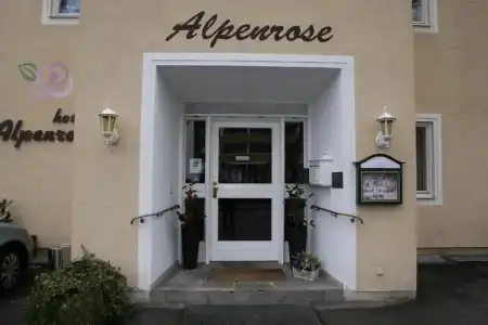Alpenrose - 23