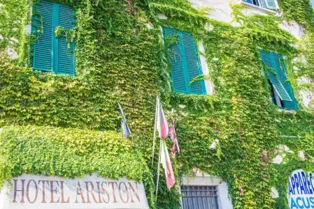 Ariston - 7