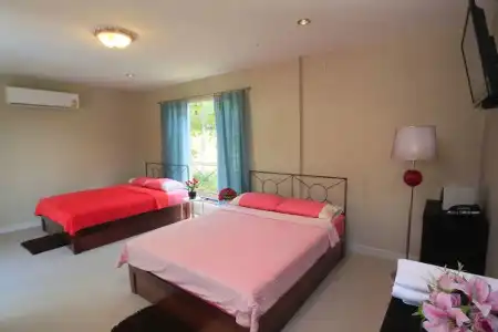 Ville De La Vie - 32
