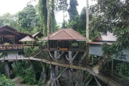 Rock And Treehouse Resort - 30