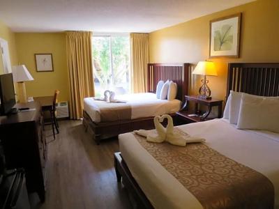 B&B Orlando International Drive Near Universal - Newly Renovated! - 131