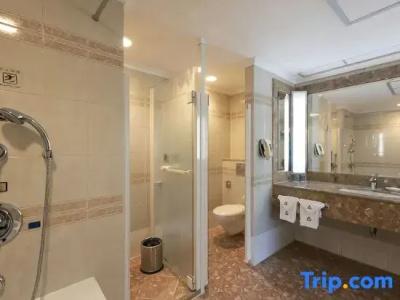 Grand Skylight Royal - 96
