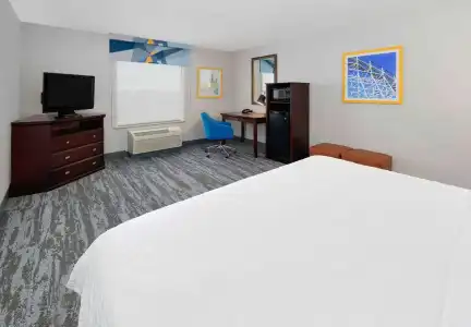 Hampton Inn & Suites Dallas-Arlington-South - 42