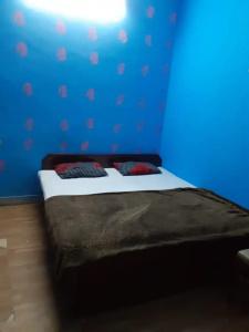 Raj Bed & Breakfast - 43