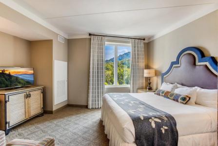 Dollywood's DreamMore Resort - 2