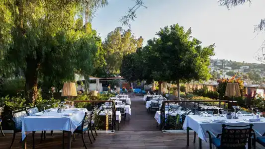 Divan Bodrum - 16