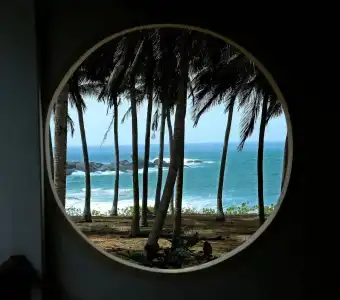 Turtle Bay - 22