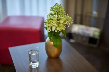 Mirabell by Maier Privathotels - 141