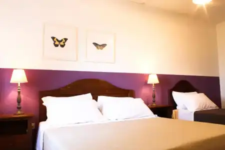 Boschi di Montecalvi - Guest House - 157