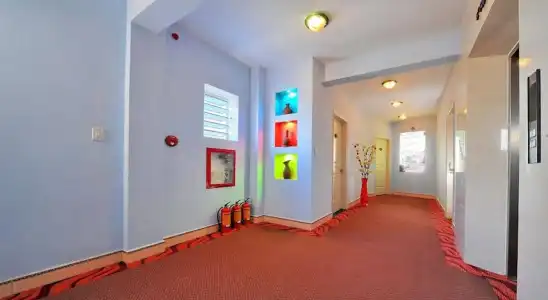 Ideal Hue - 10