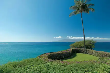 Sheraton Maui Resort & Spa - 37