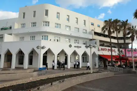 The Herbert - 9