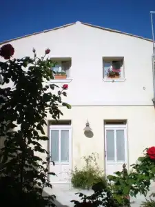 Chicchi di Melograno - 31