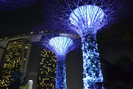 Venue - The Lily - 14