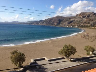 Pal Beach - 116