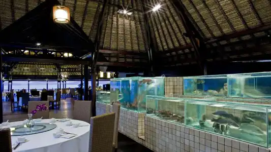 Gayana Marine Resort - 26