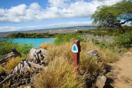 Mauna Kea Beach, Autograph Collection - 47