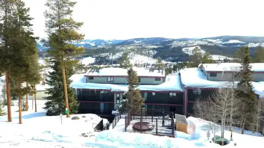 Timber Run - 19